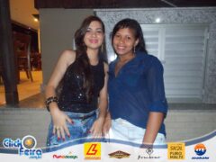 Garota Vip